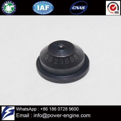 NT855 Injector Cap 3023556